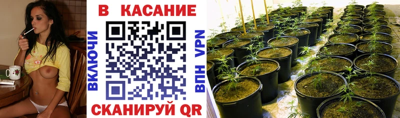 Цена Верея ГАШИШ  гидра зеркало  Меф  Alpha PVP 
