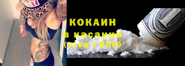 МДПВ Семилуки