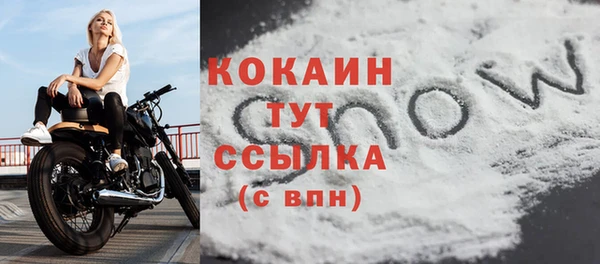 ALPHA-PVP Вяземский