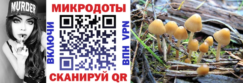 даркнет сайт  Верея  Галлюциногенные грибы прущие грибы 